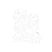 Hickory Hill English Shepherd Logo